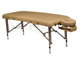 Basic Reiki Alu Dlx letv&aelig;gts massagebriks
